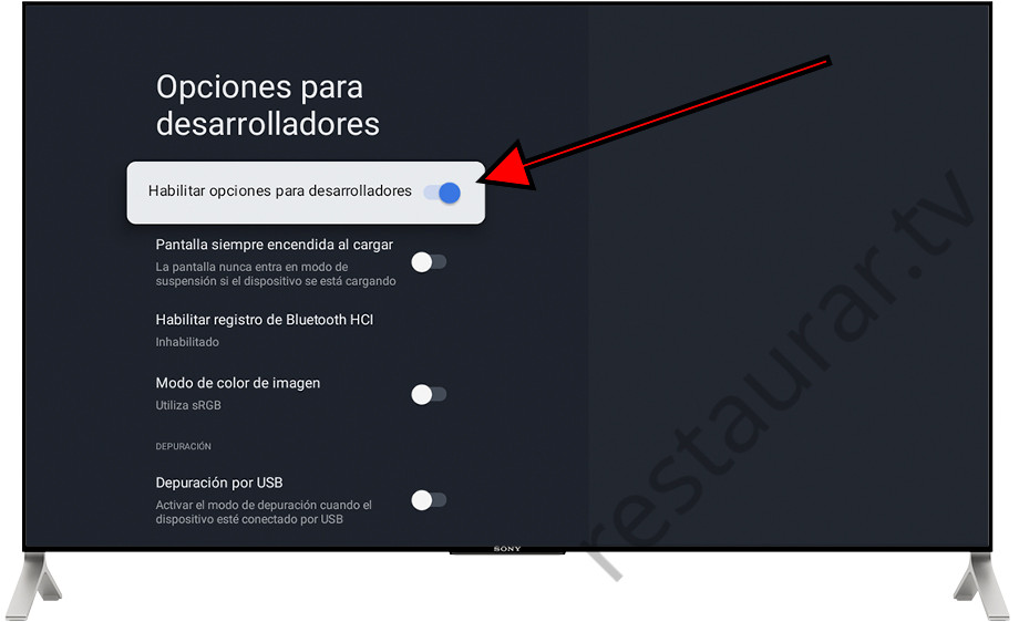 Opciones para desarrolladores habilitado Google TV